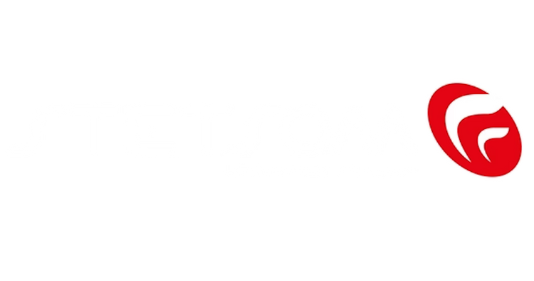 Stetsom