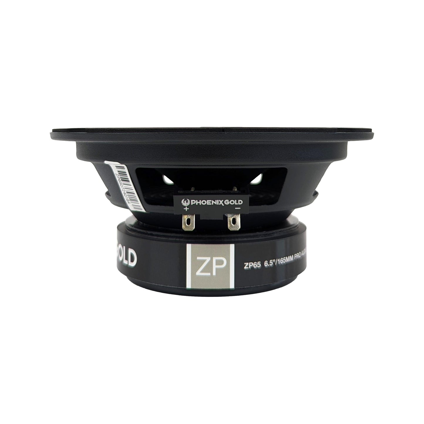 ZP65