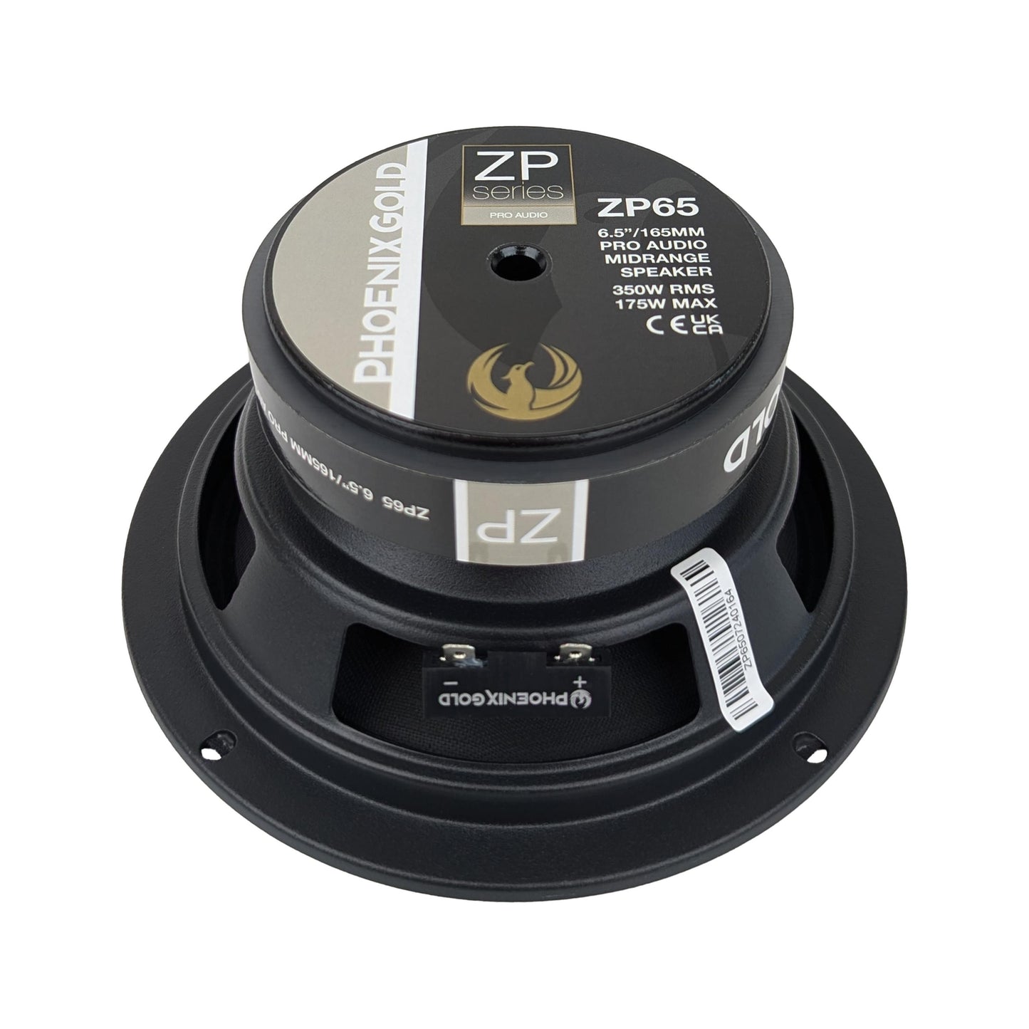 ZP65