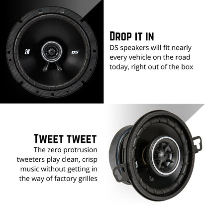 DS 6.5" & 6" (165 mm) Coaxial Speaker System