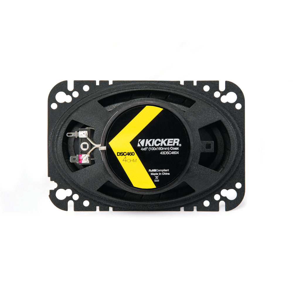DS 4" x 6" (100 x 160 mm) Coaxial Speaker System